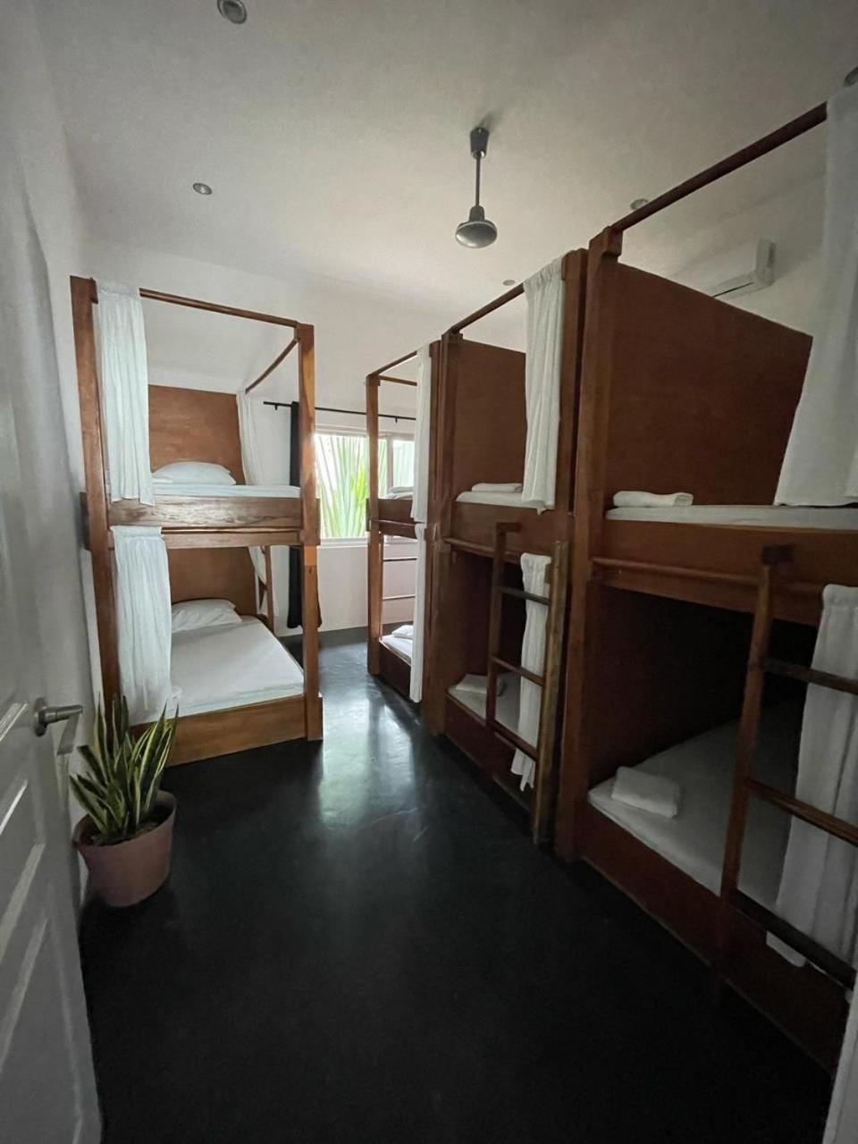 טולום Chill Inn Hostel מראה חיצוני תמונה